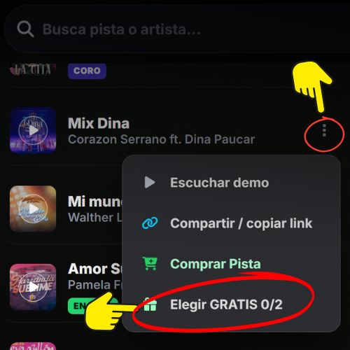 Guíapara escoger pista gratis